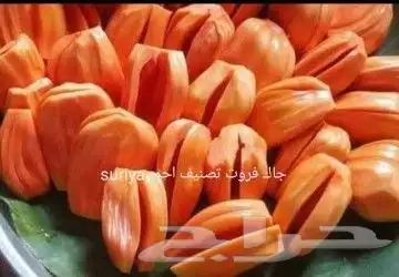 شتلات جاك فروت ابونجمة صدر صيني 1