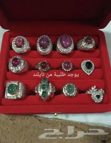 شتلات جاك فروت ابونجمة صدر صيني 47
