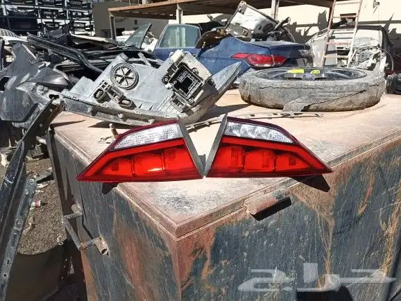 سطبات جنسس 2018 0