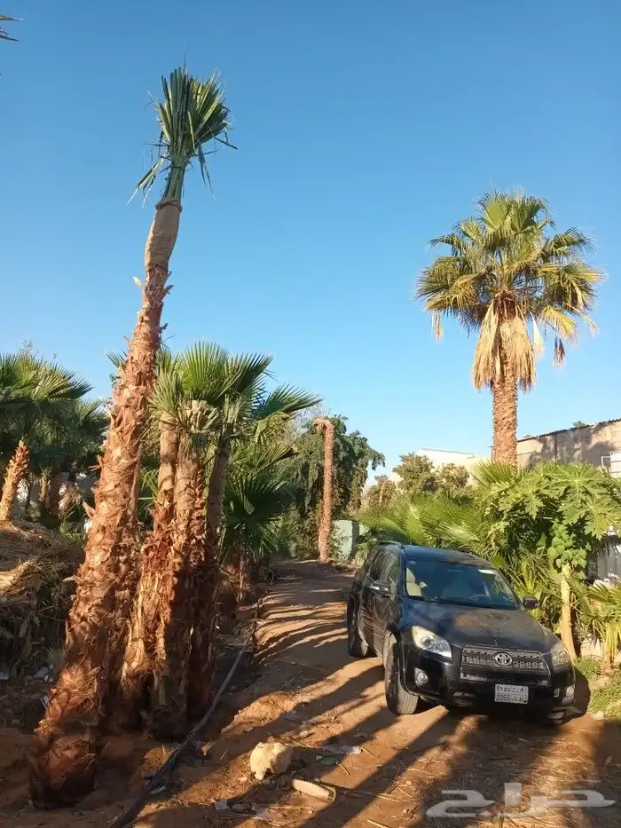 تسوير الاراضي والمزارع بالشبك 8