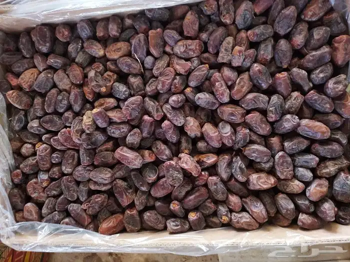 متوفر خضري طيب 0