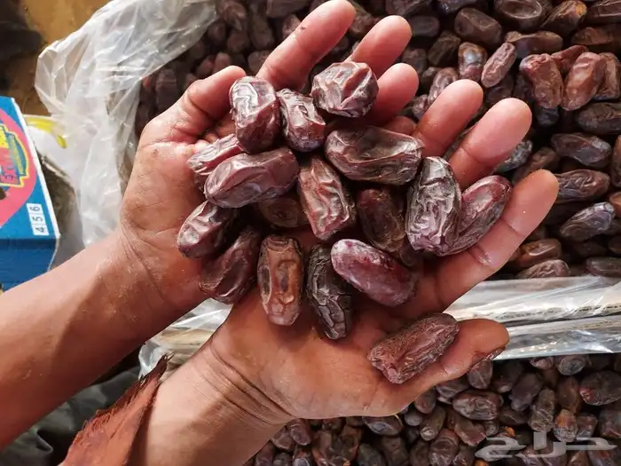 متوفر خضري طيب 4
