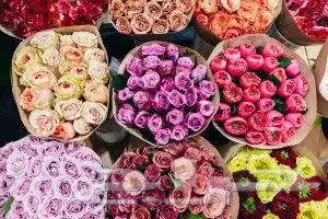 ورد طبيعي بسعر الجملة 0