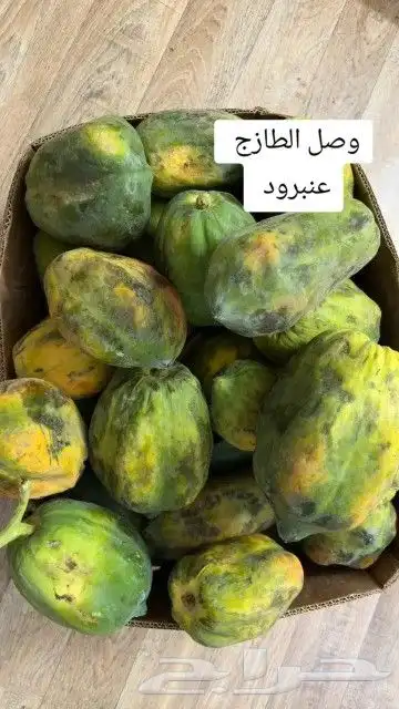 ببايا او عنبرود 1
