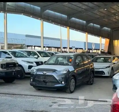 رايز ليمتد 2024 2