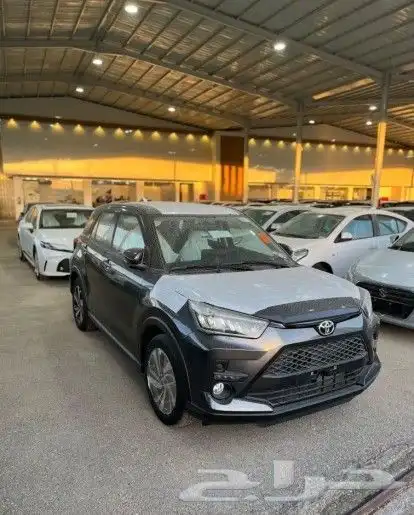 رايز ليمتد 2024 1
