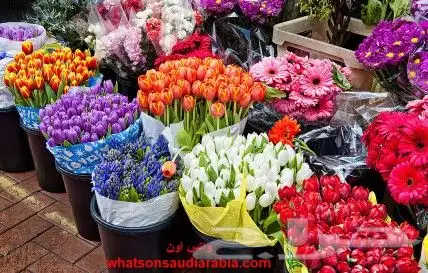 ورد طبيعي بسعر الجملة 1