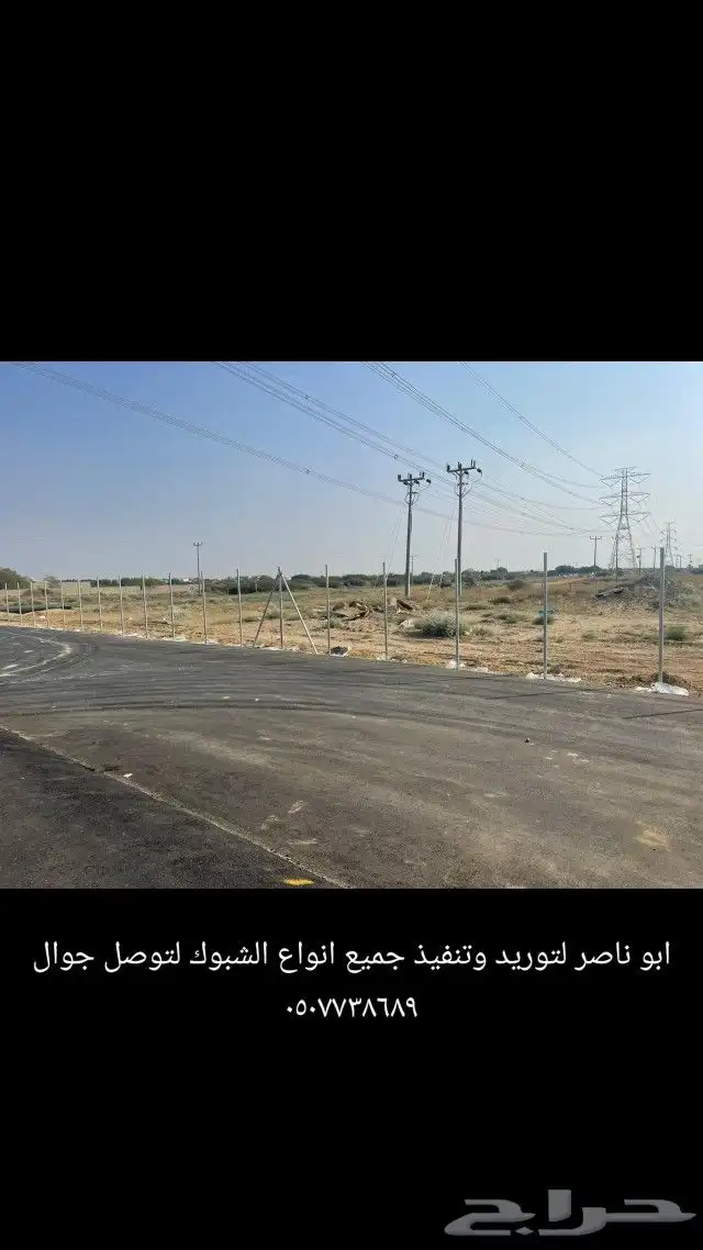نخيل واشنطونيا زينه لبيع بجميع مقاسته 5