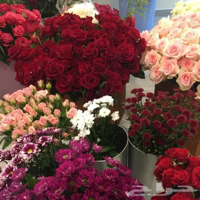 ورد طبيعي بسعر الجملة 2