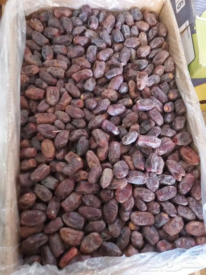 متوفر خضري طيب 2
