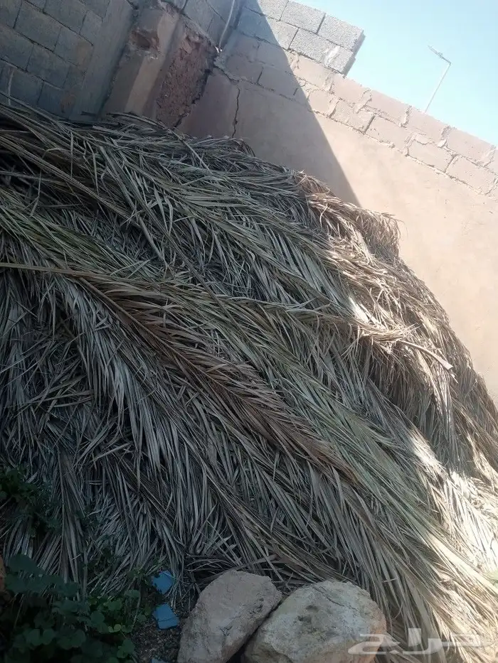 جريد نخل كمية 4