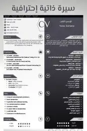 سيره ذاتيه احترافيه ب5ريال 1