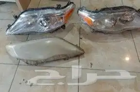 قزازات الشمعات 5