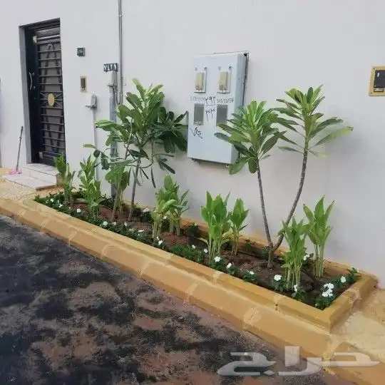 تنسيق حدائق الثيل الطبيعي الاشجار الطبيعي شبكات ري 0