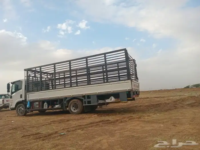 دنيا 6متر الإيجار دخل جازان جميع مدن المملكة 1