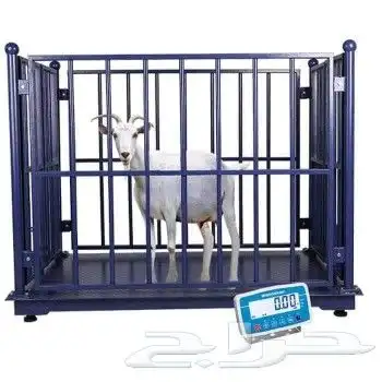 موازين الكترونيه 24