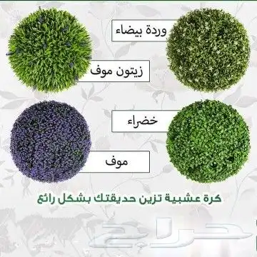 نجيل طبيعي عشب صناعي 1