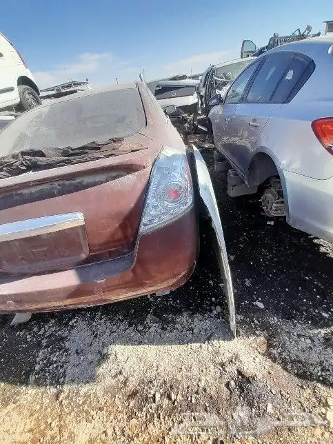 نسيان التيما 2005 الي 2022 7