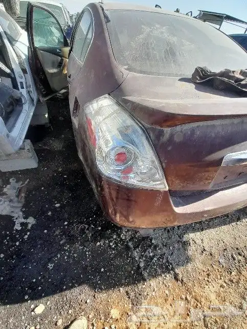 نسيان التيما 2005 الي 2022 5