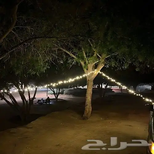 لمبة وعقد بطول 10 متر 0