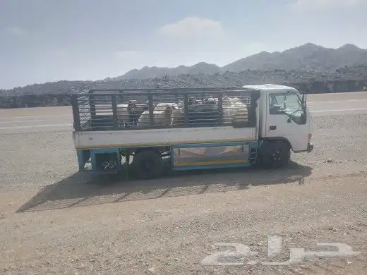 دينة مشاوير داخل وخارج الحائط رقم الجوال السائق سوداني 3