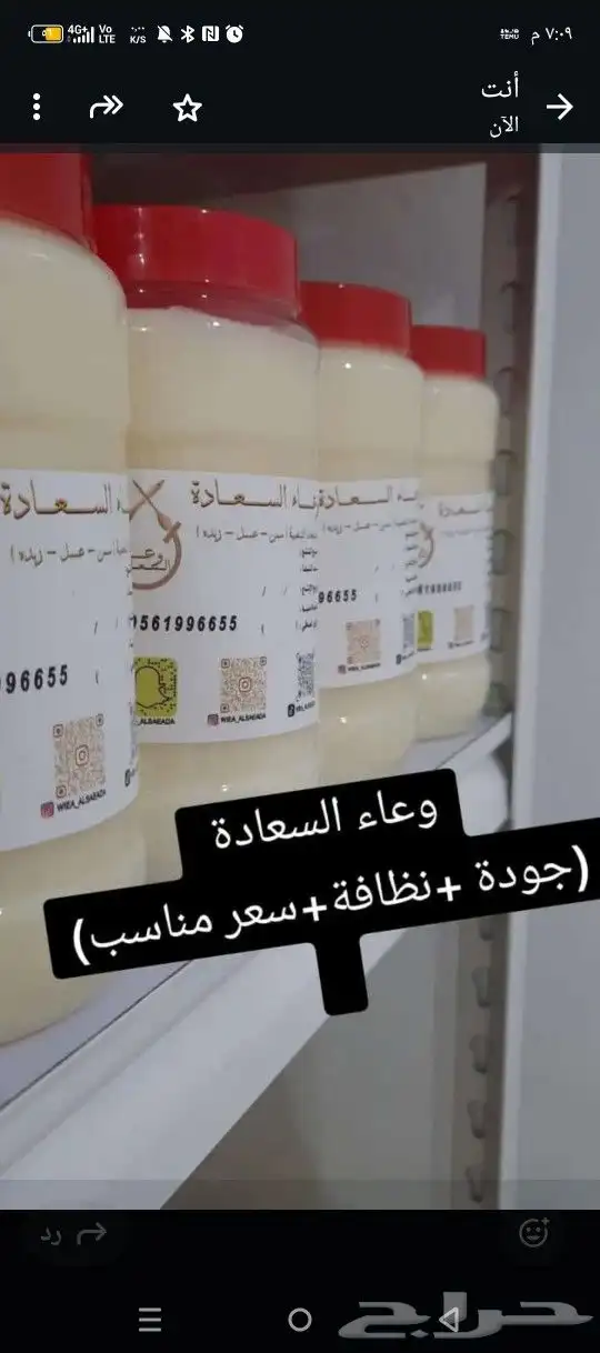 سمن ماعز مضيمر اخضر وسمن ماعز ابيض صافي 0
