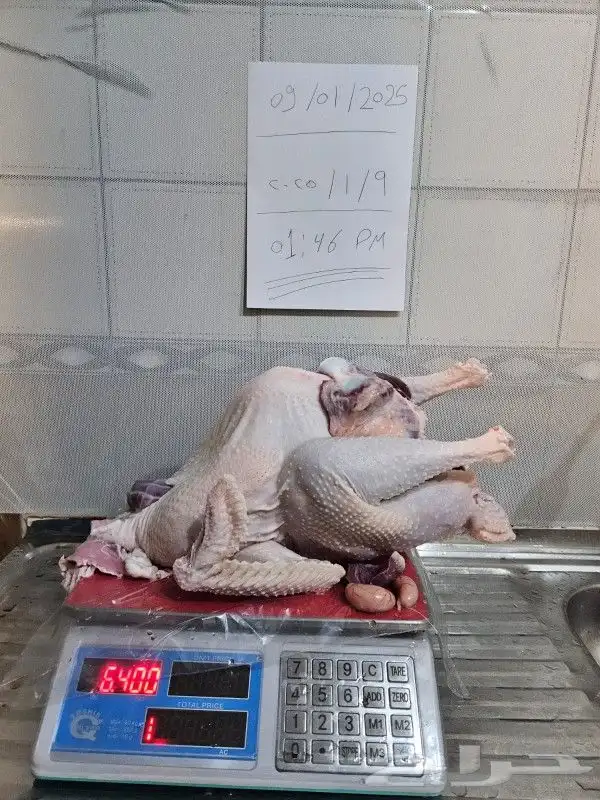 ديك رومي ذبح طازج 9