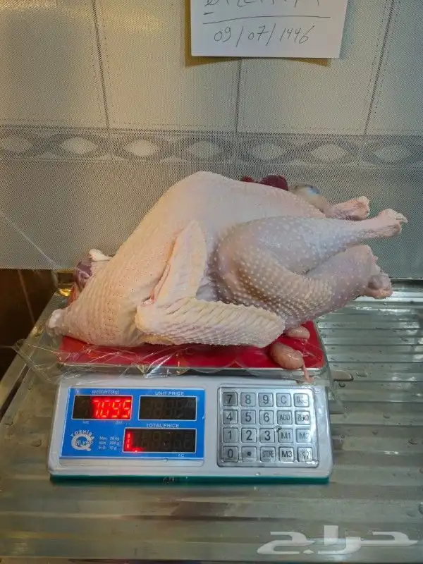 ديك رومي ذبح طازج 4