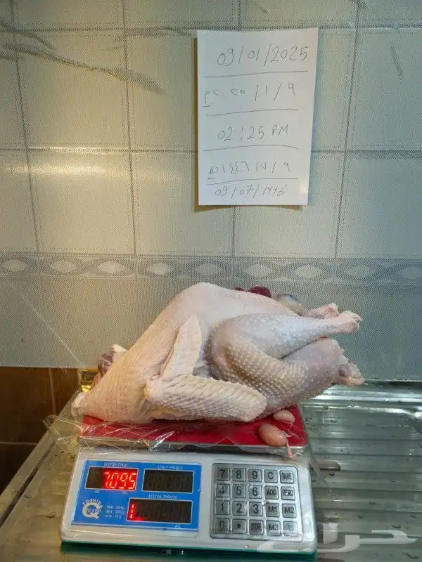 ديك رومي ذبح طازج 2