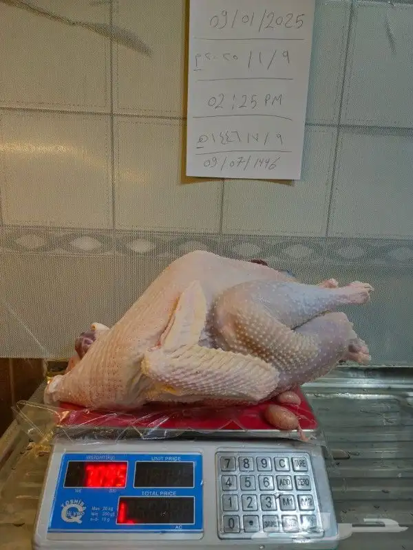 ديك رومي ذبح طازج 3