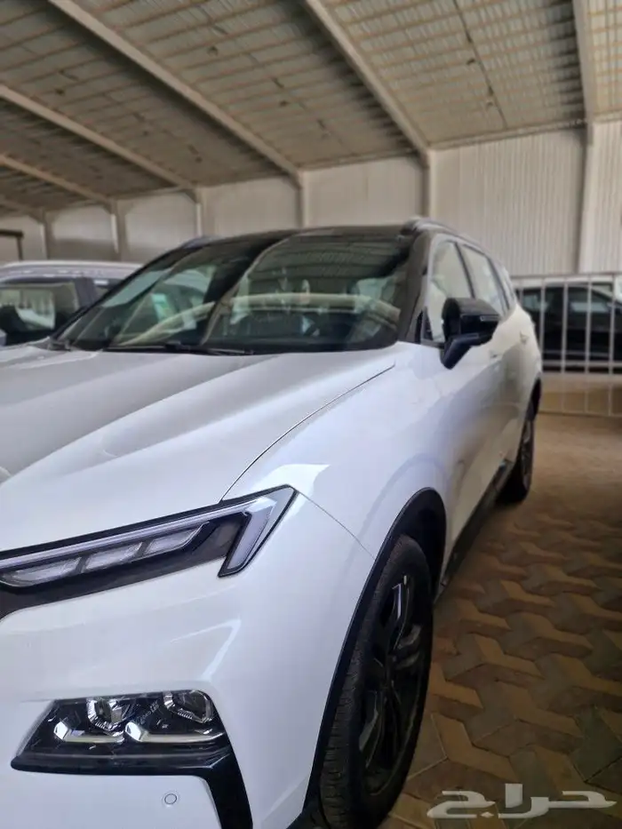 تيرتوري دارك اديشن 2025 12