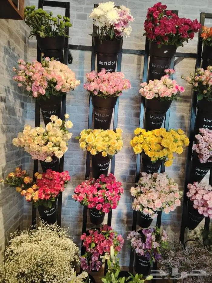 محل توصيل هدايا ورد أبها خميس مشيط واحد رفيده 8