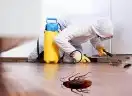 شركة مكافحة حشرات -الصراصير_النمل الابيض_الارضه 2