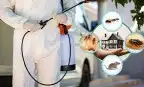 شركة مكافحة حشرات -الصراصير_النمل الابيض_الارضه 1
