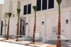 يوجد لديناء نخل للبيع اسعار مناسبه 1