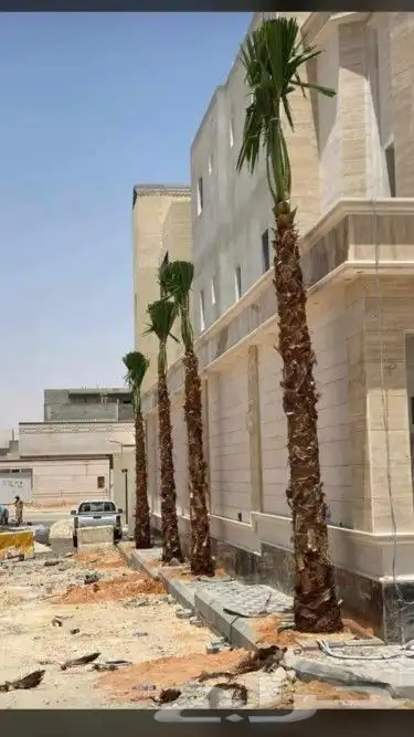 جميع انواع النخيل 8