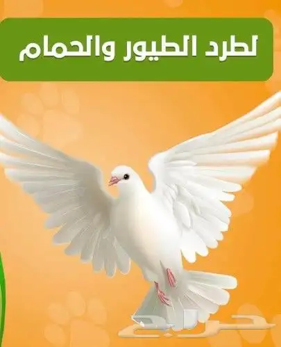 تركيب طارد حمام بحائل اغطاء مكيفات خارجية شبك اشواك 0