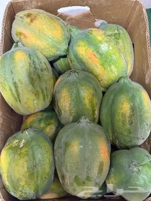 عنبرود جيزاني 0