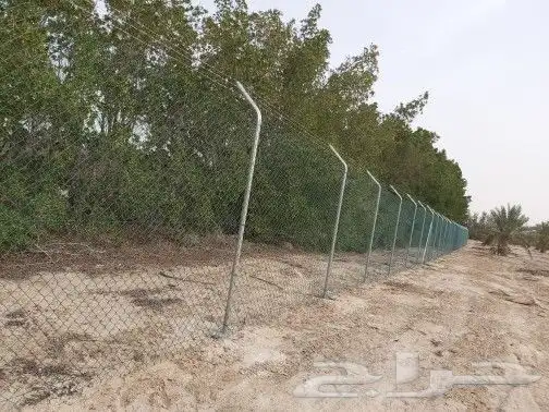 مقاول شبوك ونخيل 7