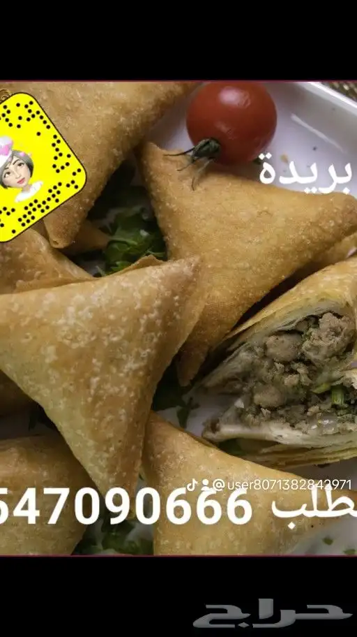 مفرزنات سمبوسة 1