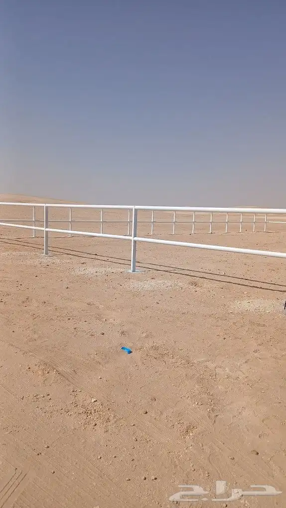 شبوك الرياض 4