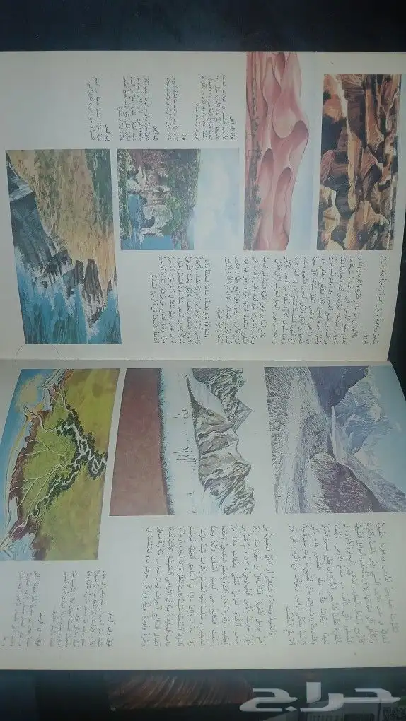 كتب منوعة و نادرة   صبار الوفيرا طبيعي 20