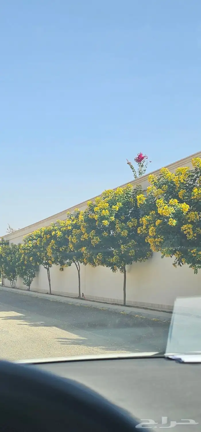 شركه تنسيق حدئق القصيم 2