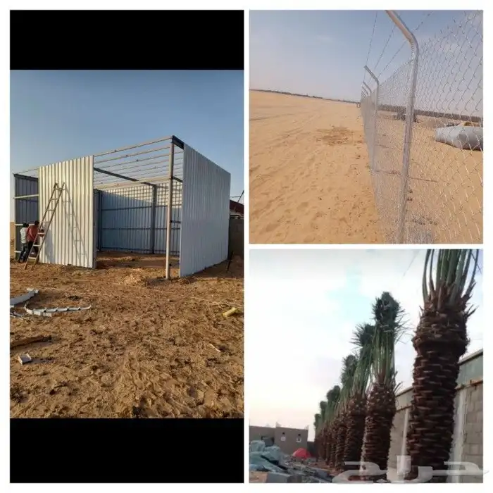 تركيب ج السياج الأمني الحديدي الشبوك و زرعة اي نوع من النخل 1