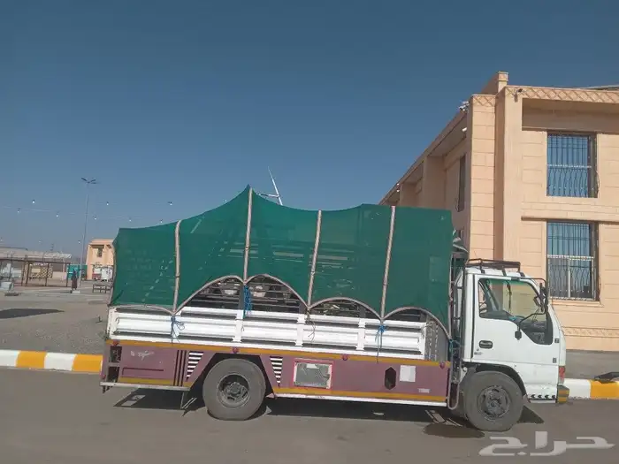 دينة مشاوير داخل وخارج الحائط 2