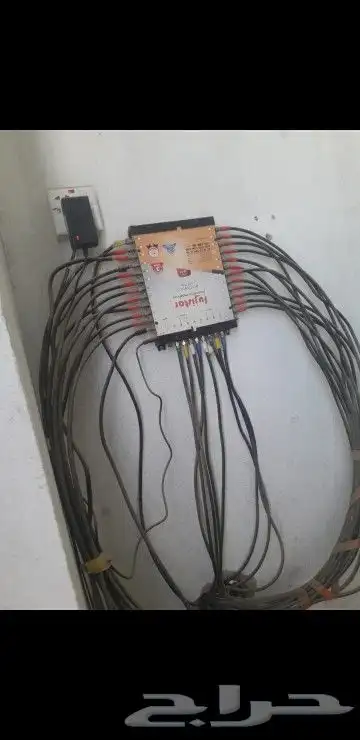 whtsapp 1