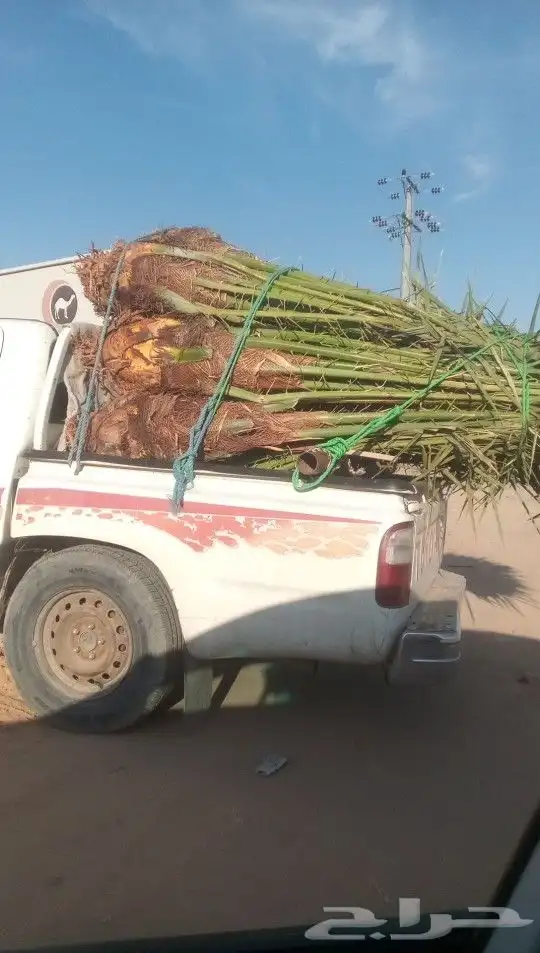 توريد وتصدير دخل المملكه واخرج المملكه 5