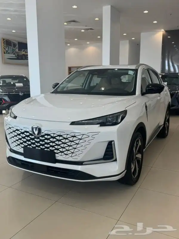 شنجان يوني اس ايليت الفل - 2025 5