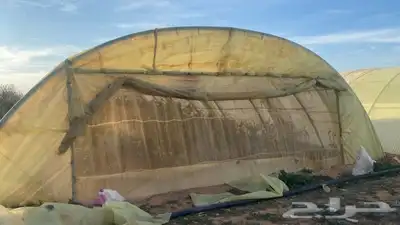 فك تركيب بيوت محميه عادي ومكيفه وبيوت دواجن 1