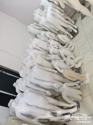 ملكانات منيكان مليكان مونيكان ملكان مجسمات عرض ملابس مستخدم 3